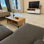 Magnet