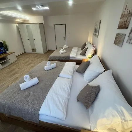 Magnet * קרלובי וארי