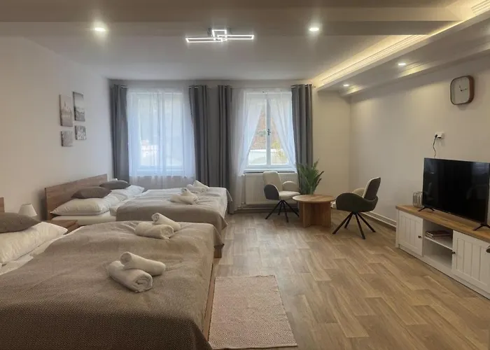 Apartmán Magnet Karlovy Vary